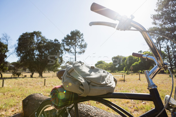 Bicycle with bag parked in the park Stock photo © wavebreak_media