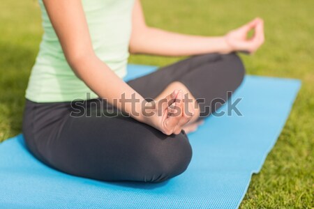 Cropped image of girl meditating in yard Stock photo © wavebreak_media