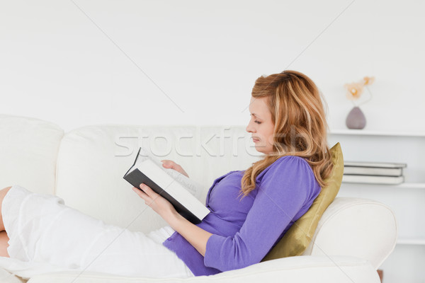 Foto stock: Bastante · mujer · lectura · libro · sofá · salón