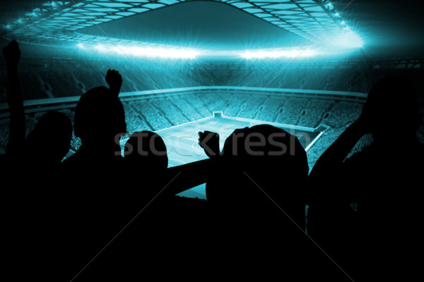 Sziluettek futball nagy stadion fények futball Stock fotó © wavebreak_media