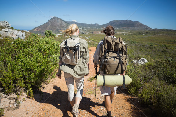 Kirándulás pár sétál hegy terep napos idő Stock fotó © wavebreak_media