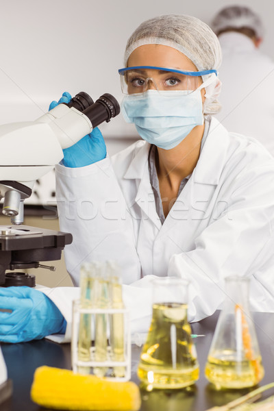 Stock photo: Food scientist using the microscope