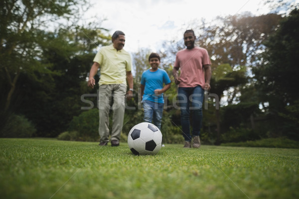 Foto d'archivio: Famiglia · giocare · calcio · insieme · parco · campo