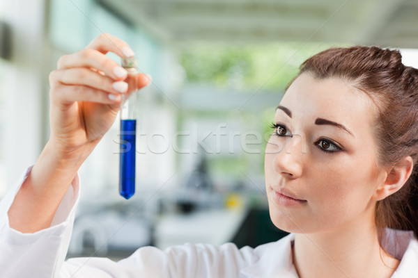 Foto d'archivio: Studente · guardando · provetta · laboratorio · medico · lavoro