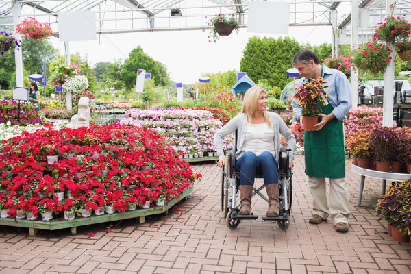 Woman in wheelchair talking to employee carrying plant in garden center Stock photo © wavebreak_media