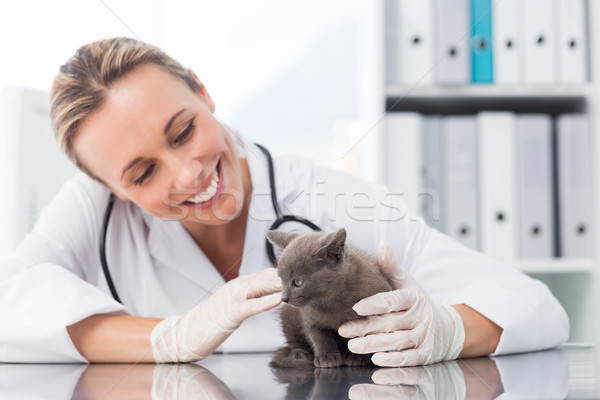 Stockfoto: Dierenarts · onderzoeken · kitten · gelukkig · vrouwelijke · kliniek