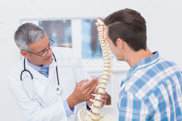 Arzt anatomischen Wirbelsäule Patienten medizinischen Stock foto © wavebreak_media