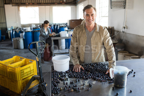 Worker checking a harvested olives in factory Stock photo © wavebreak_media