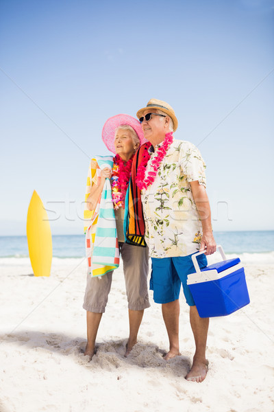 Senior couple holding icebox Stock photo © wavebreak_media