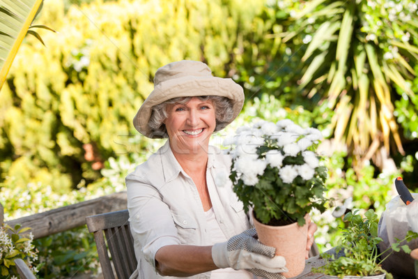 Senior woman with flowers in her garden Stock photo © wavebreak_media