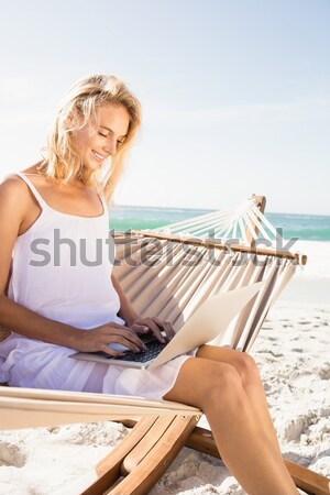 Donna lavoro laptop spiaggia cielo acqua Foto d'archivio © wavebreak_media