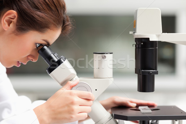 Close up of a female science student looking in a microscope in a laboratory Stock photo © wavebreak_media