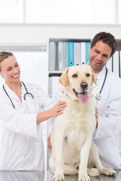 Psa szczęśliwy kliniki człowiek pracy kobiet Zdjęcia stock © wavebreak_media