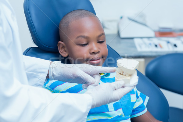 Dişçi erkek protez dişler Stok fotoğraf © wavebreak_media