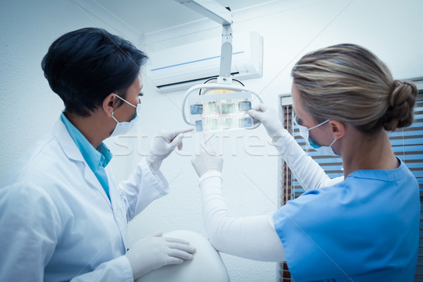 Стоматологи глядя Xray два женщины команда Сток-фото © wavebreak_media