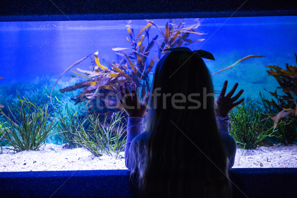 Young woman touching a fish-tank  Stock photo © wavebreak_media