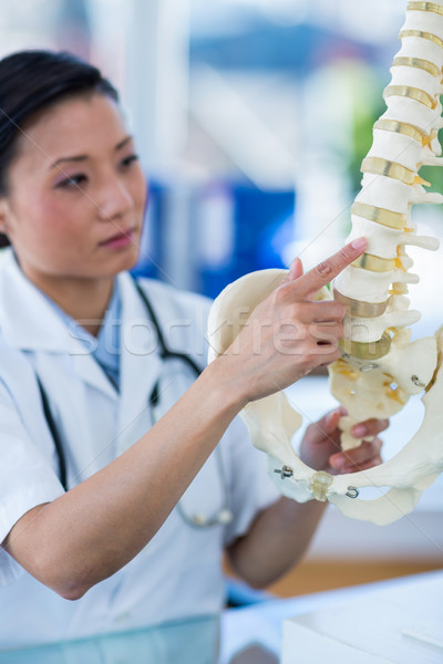 Concentrated doctor showing anatomical spine Stock photo © wavebreak_media