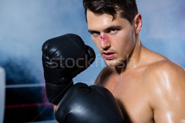 портрет мужчины Боксер кровотечение носа Сток-фото © wavebreak_media