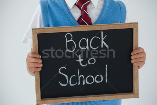 Schoolboy holding writing slate with text back to school against white background Stock photo © wavebreak_media