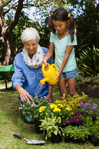 Foto stock: Senior · mulher · olhando · menina · flores