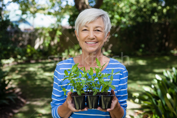 Portrait of smiling senior woman holding seedlings Stock photo © wavebreak_media
