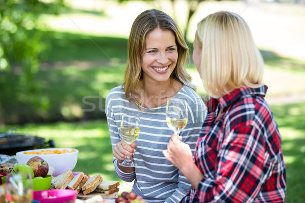 Amis pique-nique vin parc jardin plantes [[stock_photo]] © wavebreak_media