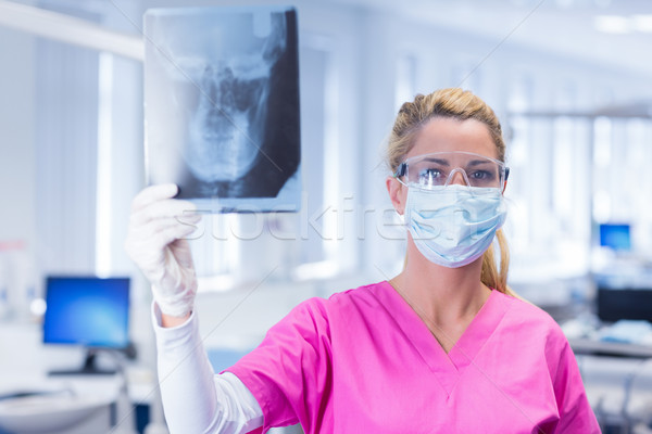 牙科醫生 X射線 看 相機 牙科 商業照片 © wavebreak_media