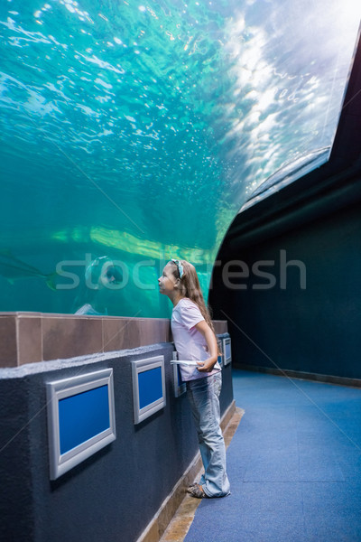 Küçük kız bakıyor balık tank akvaryum çocuk Stok fotoğraf © wavebreak_media