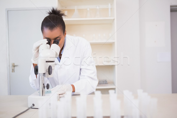 Scientist looking through a microscope Stock photo © wavebreak_media