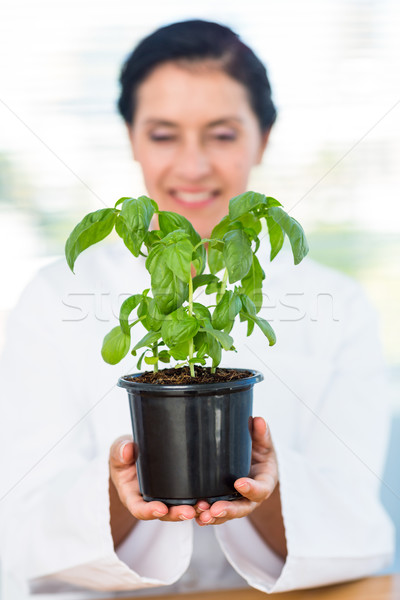 Scientifique basilic usine laboratoire heureux [[stock_photo]] © wavebreak_media