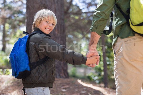 Main randonnée forêt portrait [[stock_photo]] © wavebreak_media