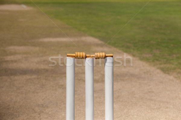 Stumps on cricket pitch Stock photo © wavebreak_media