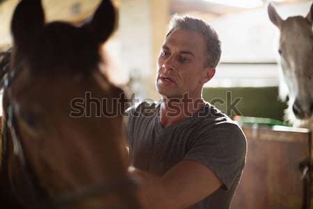 Man caressing the brown horse in the stable Stock photo © wavebreak_media