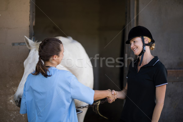 женщины жокей рукопожатие ветеринар лошади сарай Сток-фото © wavebreak_media
