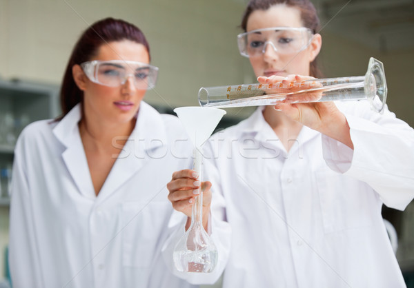 Gorgeous scientists doing an experiment in a laboratory Stock photo © wavebreak_media