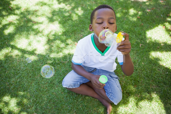 Stockfoto: Weinig · jongen · park · gras