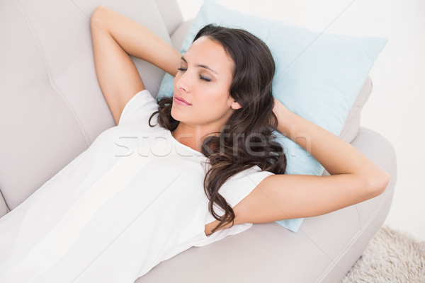 довольно брюнетка диване домой гостиной женщины Сток-фото © wavebreak_media