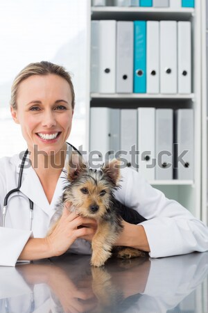 Foto stock: Sorridente · veterinário · Maine · brasão · médico · escritório