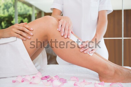 Kobieta strony masażu salon piękności ręce piękna Zdjęcia stock © wavebreak_media
