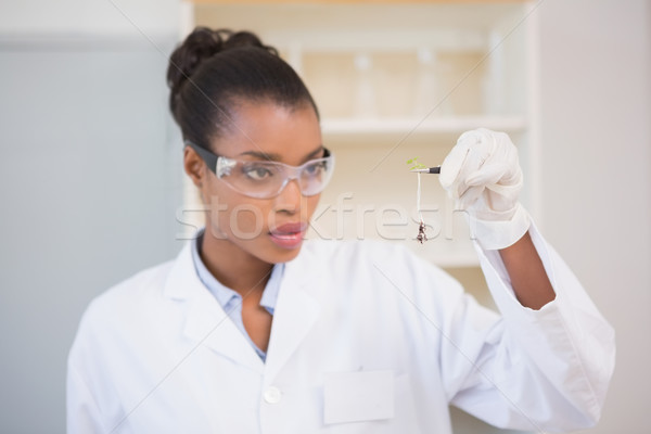 Tudós néz orvosi technológia tudomány laboratórium Stock fotó © wavebreak_media