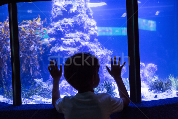 Young man touching a fish-tank Stock photo © wavebreak_media