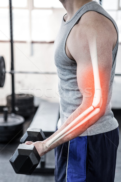 Foto stock: Brazo · fuerte · hombre · pesos · gimnasio