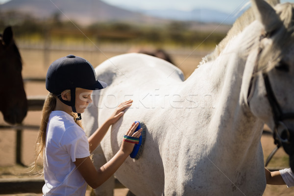 Fată cal ranch vară băiat Imagine de stoc © wavebreak_media