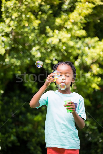 Fiú buborékfújás park fű nap gyermek Stock fotó © wavebreak_media