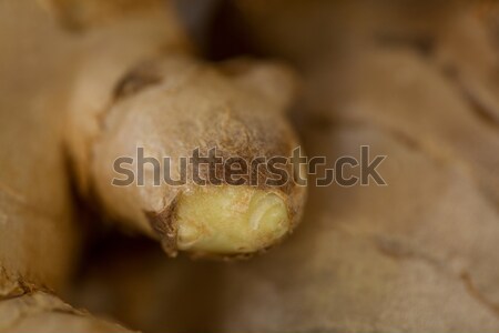 Close-up of ginger Stock photo © wavebreak_media