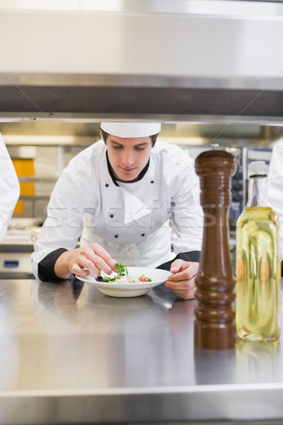 Chef finishing his salad in the kitchen Stock photo © wavebreak_media