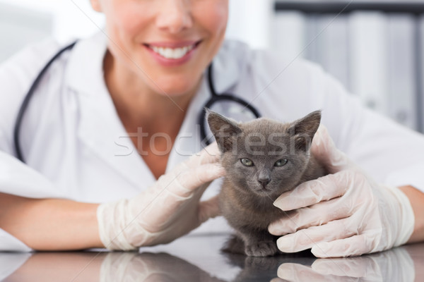 Female vet examining cute kitten Stock photo © wavebreak_media