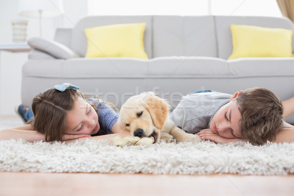 Siblings sleeping with dog on rug Stock photo © wavebreak_media