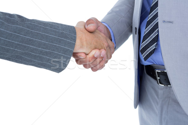  Businessman shaking hands with a co worker Stock photo © wavebreak_media
