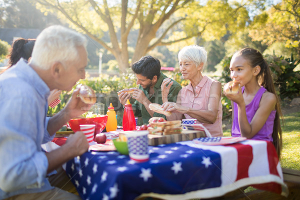 [[stock_photo]]: Famille · repas · parc · femme · fille